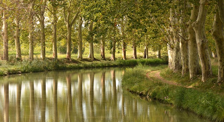 Canal du Midi planter utile ! Exploreur — free download